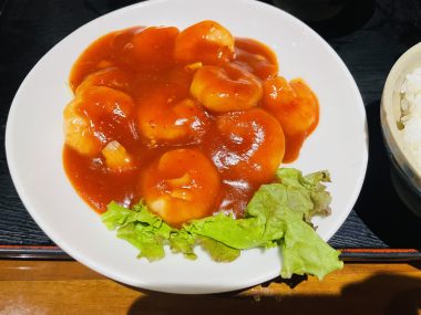 ビションフリーゼ　おもち  バイトご飯・おもふくさんぽ彡 IMG_6477-380x285