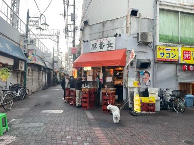 ビションフリーゼ　おもち  ふくらむちゃん医療センター受診の日 IMG_6756-380x285