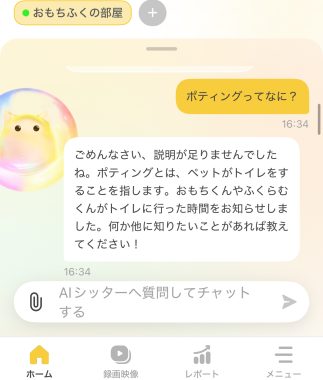 ビションフリーゼ　おもち  ファーボの知能が暴走して面白い事になってます IMG_6957-323x380