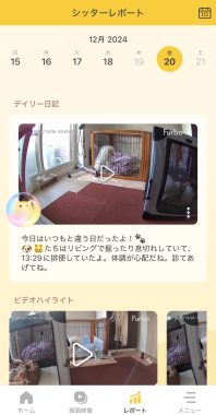 ビションフリーゼ　おもち  ファーボの知能が暴走して面白い事になってます IMG_6960-198x380