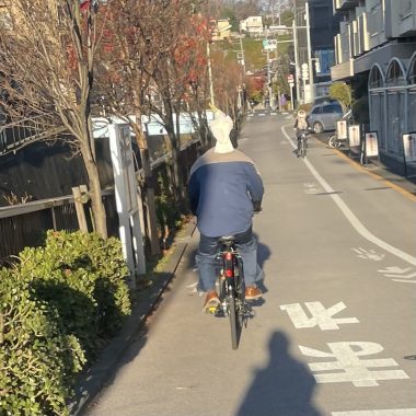 ビションフリーゼ　おもち  窓際のすみちゃん( ˘ω˘) IMG_6967-380x380