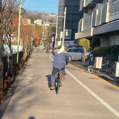 ビションフリーゼ　おもち  窓際のすみちゃん( ˘ω˘) IMG_6969-380x380