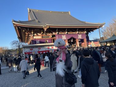 ビションフリーゼ　おもち  初夢がふくらむちゃん！ IMG_7150-380x285