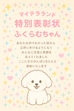 ビションフリーゼ　おもち  おもふくさんぽ彡 8F6807E8-9163-4D50-8ED0-16A3BA0967C2-253x380