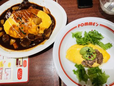 ビションフリーゼ　おもち  おもさんぽ彡 IMG_8450-380x285