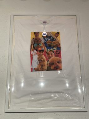 ビションフリーゼ　おもち  石野卓球展とおもさんぽ彡 IMG_8493-scaled-e1746296348908-285x380