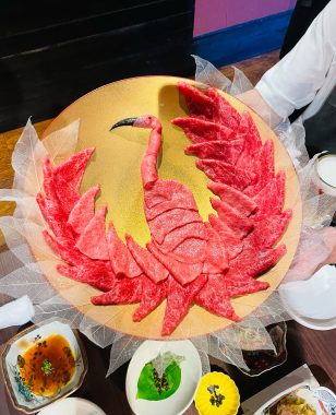 ビションフリーゼ　おもち  お友だちが、おじ&ふくらむちゃんのお見舞い IMG_8582-308x380