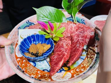 ビションフリーゼ　おもち  お友だちが、おじ&ふくらむちゃんのお見舞い IMG_8587-380x285
