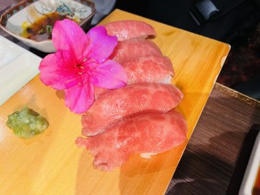 ビションフリーゼ　おもち  お友だちが、おじ&ふくらむちゃんのお見舞い IMG_8588-380x285