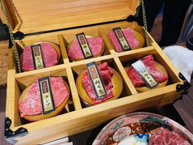 ビションフリーゼ　おもち  お友だちが、おじ&ふくらむちゃんのお見舞い IMG_8590-380x285