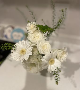 ビションフリーゼ　おもち  ふくらむ医療センター診察の日 IMG_8705-339x380