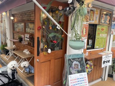 ビションフリーゼ　おもち  おもふくさんぽ彡おじ飯 IMG_8760-380x285