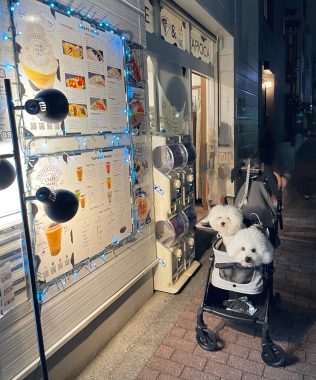 ビションフリーゼ　おもち  おもふくさんぽ彡おじ飯 IMG_8790-316x380