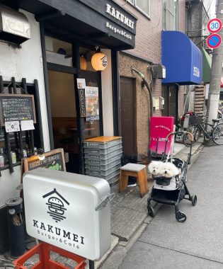 ビションフリーゼ　おもち  おもちふくおじさんぽ彡 IMG_8836-315x380
