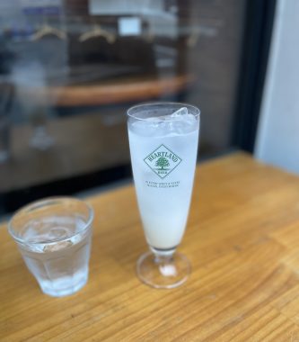 ビションフリーゼ　おもち  おもちふくおじさんぽ彡 IMG_8841-333x380