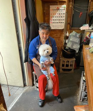 ビションフリーゼ　おもち  おもちふくおじさんぽ彡 IMG_8857-316x380