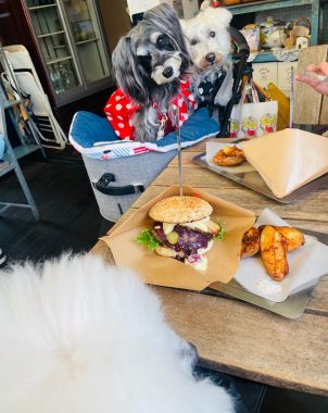 ビションフリーゼ　おもち  りぶゆぶおもち・自由が丘バーガー IMG_8947-302x380