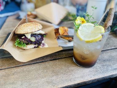 ビションフリーゼ　おもち  りぶゆぶおもち・自由が丘バーガー IMG_8951-380x285