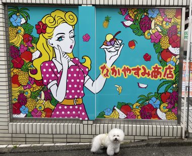 ビションフリーゼ　おもち  りぶゆぶおもち・自由が丘バーガー IMG_8973-380x308