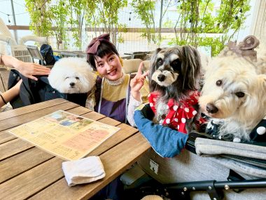 ビションフリーゼ　おもち  りぶゆぶおもち・自由が丘バーガー IMG_8976-1-380x285