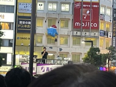 ビションフリーゼ　おもち 自分の事ですが  トルコレストランが素敵だった IMG_9068-380x285