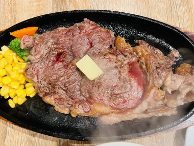 ビションフリーゼ　おもち  おもちふくらむトリミング IMG_9108-380x285
