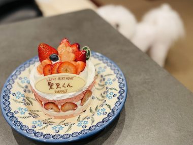 ビションフリーゼ　おもち  おじ誕生日(⌒▽⌒) IMG_9146-380x285