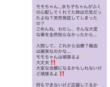 ビションフリーゼ　おもち  取り急ぎ※お友だちのわんちゃんの事で IMG_9418-380x301