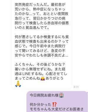 ビションフリーゼ　おもち  取り急ぎ※お友だちのわんちゃんの事で IMG_9419-299x380