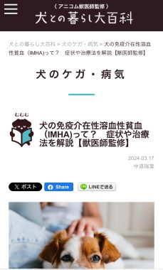 ビションフリーゼ　おもち  免疫介在性溶血性貧血について検索してみました IMG_9435-229x380