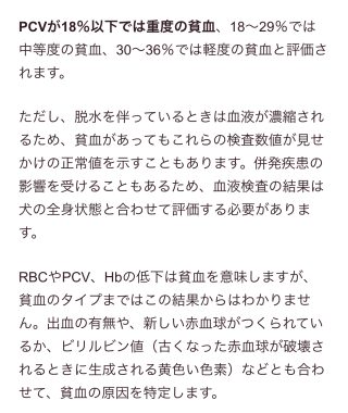 ビションフリーゼ　おもち  免疫介在性溶血性貧血について検索してみました IMG_9441-320x380