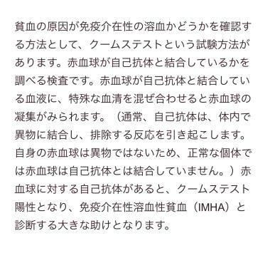 ビションフリーゼ　おもち  免疫介在性溶血性貧血について検索してみました IMG_9442-380x355
