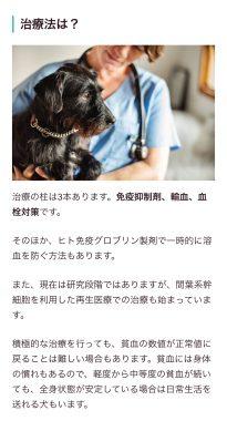 ビションフリーゼ　おもち  免疫介在性溶血性貧血について検索してみました IMG_9444-205x380
