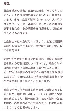 ビションフリーゼ　おもち  免疫介在性溶血性貧血について検索してみました IMG_9446-229x380