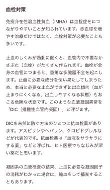 ビションフリーゼ　おもち  免疫介在性溶血性貧血について検索してみました IMG_9447-221x380
