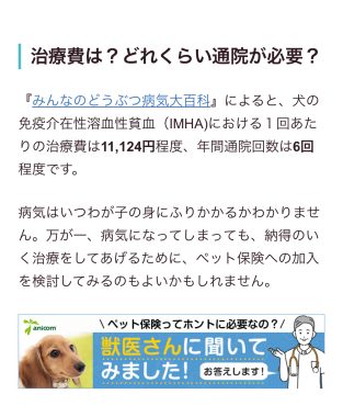ビションフリーゼ　おもち  免疫介在性溶血性貧血について検索してみました IMG_9450-313x380