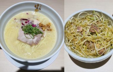ビションフリーゼ　おもち  おもふくおじ飲み CD389F94-1318-43C3-AA65-86D25148F662-380x243