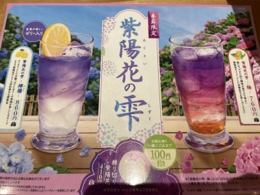 ビションフリーゼ　おもち  おもマッサージの日 IMG_9492-380x285