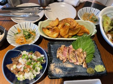 ビションフリーゼ　おもち  おもちふく、パップカップとササミのお店 IMG_0090-380x285