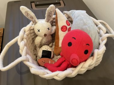 ビションフリーゼ　おもち  ソラマメムギ♡マメを思う会 IMG_9914-380x285