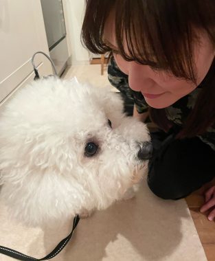 ビションフリーゼ　おもち  ソラマメムギ♡マメを思う会 IMG_9947-313x380