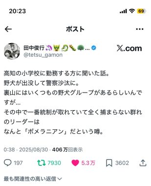 ビションフリーゼ　おもち  おもマッサージ IMG_0293_Original-309x380