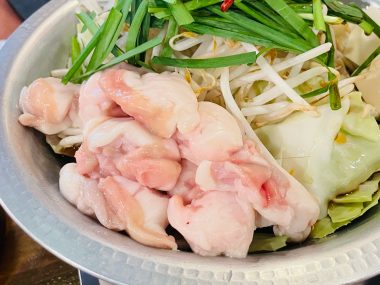 ビションフリーゼ　おもち  おじ飲みおふさんぽ彡 IMG_0332-380x285
