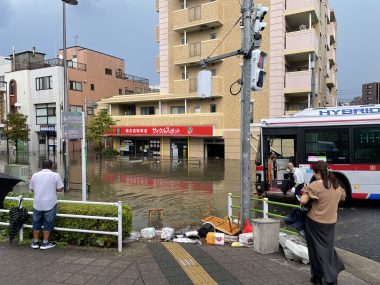 ビションフリーゼ　おもち  おもちふくトリミング☆ IMG_0382-380x285
