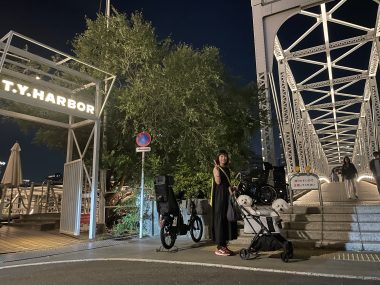 ビションフリーゼ　おもち  ☆T.Y. HARBOR IMG_0419-380x285