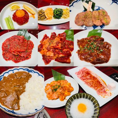 ビションフリーゼ　おもち  こぎみゅんとくらみゅん♡ 92B0431A-1082-4C27-AE27-62E435D1A71E-380x380