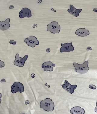 ビションフリーゼ　おもち  おもちのペットドック IMG_0566-321x380