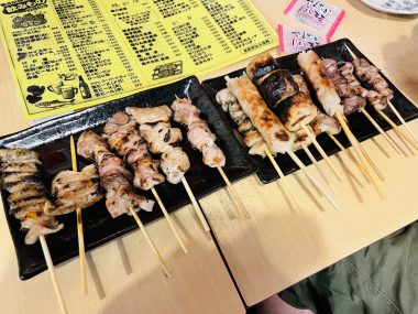 ビションフリーゼ　おもち  おもちのペットドック IMG_0586-380x285