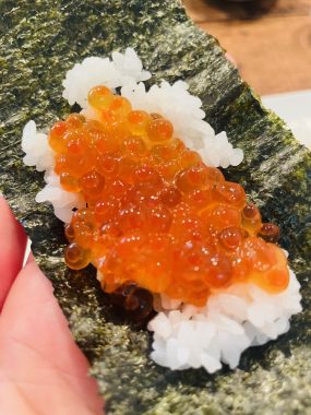 ビションフリーゼ　おもち  ソラ・☆マメ・ムギちゃん・おもちふくらむの会 IMG_0698-285x380