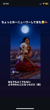 ビションフリーゼ　おもち  おもち、心肥大のお薬始めました IMG_0760_Original-175x380